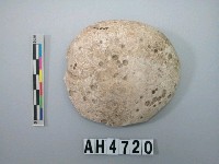 藏品(大型螺蓋製貝刮器)的圖片